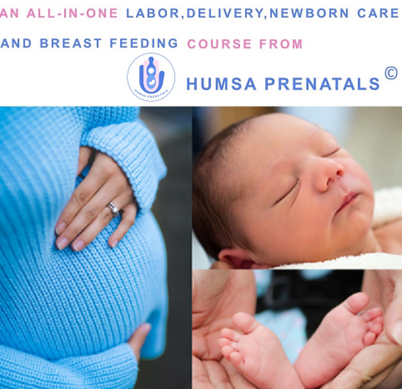 Self-Paced All-in-One Online Prenatal Classes – Labor, Delivery, Newborn Care and Breastfeeding course
