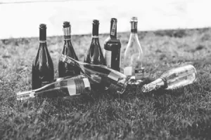 Alcohol during Pregnancy - Blog 