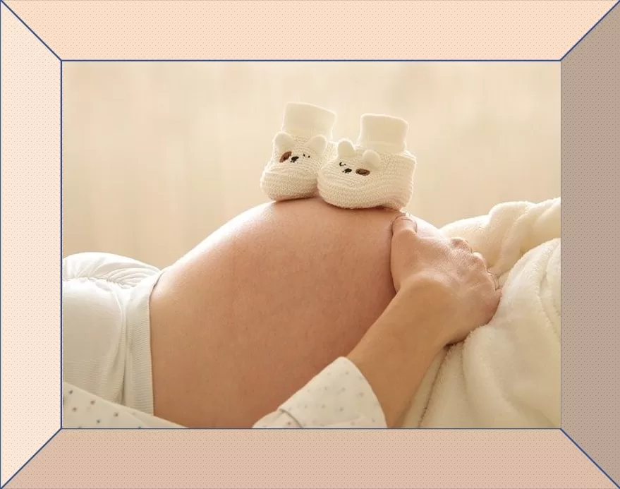 Pregnancy Master Class - Healthy Mom - Healthy Baby