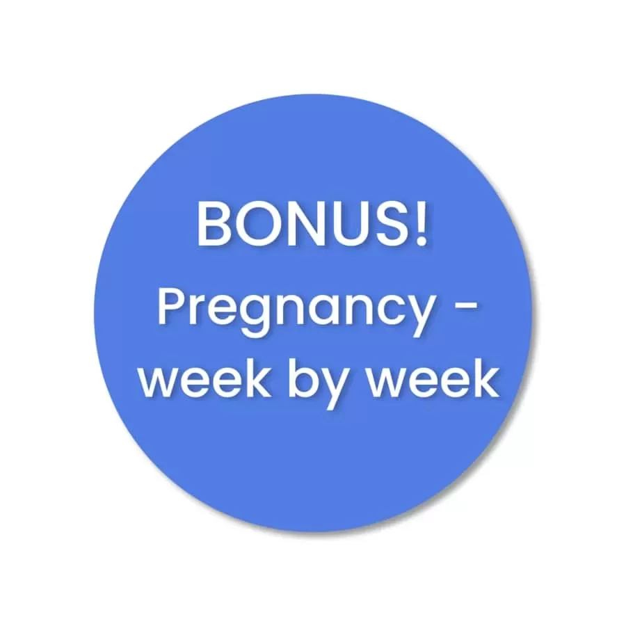 Self-Paced Online Prenatal Classes Features